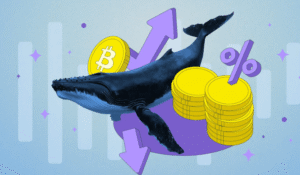 Whale Activity in Crypto Markets