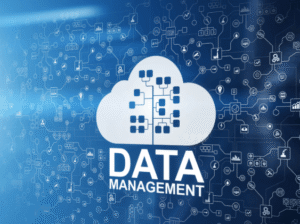 Data Management Strategies